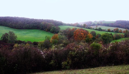 The view over Marden Park