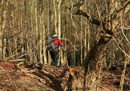 Walking through Titsey Plantation