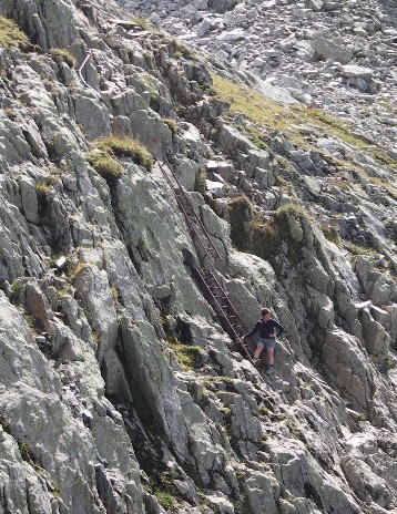 the ladders